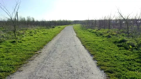 Run in the woods on the footpath at spring Stock Footage 152949337