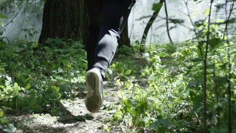 Runaway criminal Stock Footage 113444277