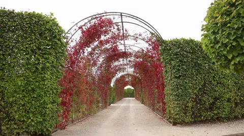 Rundale palace garden Stock Footage 28840290