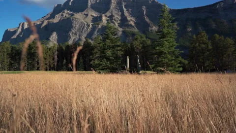 Rundle Mountain Banff Stock Footage