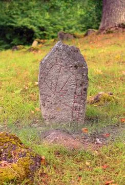 Runestone in a meadow Stock Photos