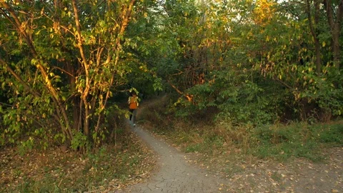 Runing at Autumn Park Stock Footage 81714407