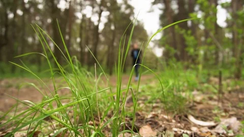 Runner athlete running on forest trail. woman fitness jogging workout concept. Stock Footage 89520991