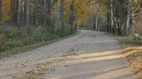Runner on Autumn Dirt Road Stock Footage 31901161