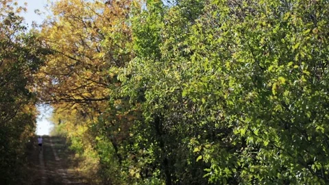 Runner in Autumn Forest Stock Footage 69714588