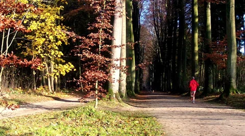 Runner in the autumn park. Stock Footage 35218593