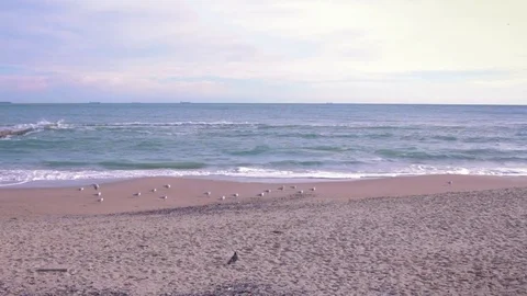 Runner on the beach Stock Footage 84992732