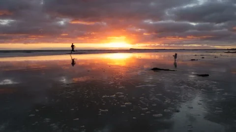 Runner on the beach with reflection. HD Video stock 44621675