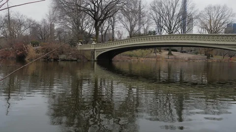 Runner on bridge over lake in central park Stock Footage 129678389