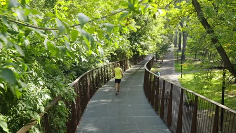 Runner on bridge in summer park Stock Footage 162558314