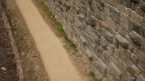 Runner on Canal Path Stock Footage 85673543