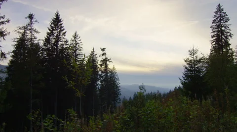 Runner celebrates getting to the end of his run in the mountains Stock Footage 63009990