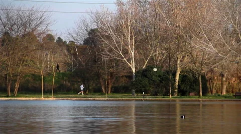 Runner in city lake park Stock-Footage 48003102