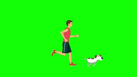 Runner dog Stock Footage 328297183