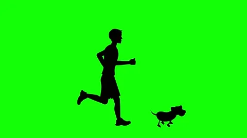 Runner dog silhouettes Stock Footage 328297179