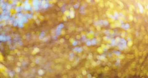 Runner Drinking Water in the sunny Autumn City. 4K DCi SLOW MOTION 120 FPS. Stock Footage 66767213