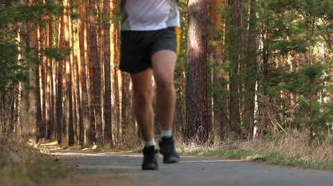 Runner in a forest Stock Footage 49778219