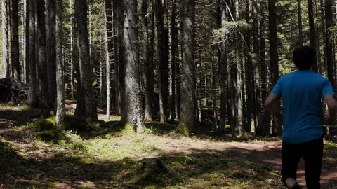 Runner in the forest Stock-Footage 114176576