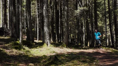 Runner in the forest Stock-Footage 114176634