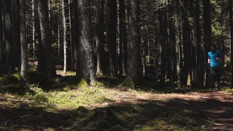Runner in the forest Stock-Footage 114176699
