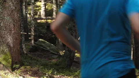 Runner in the forest Stock-Footage 114176714