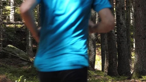 Runner in the forest Stock-Footage 114176804