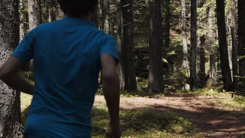 Runner in the forest Stock-Footage 114176990