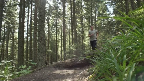 A runner in the forest jumps over a fallen tree. A man is training for running Stock Footage 213014825