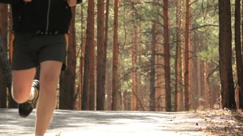 Runner on a forest path on a sunny day Stock Footage 49776976