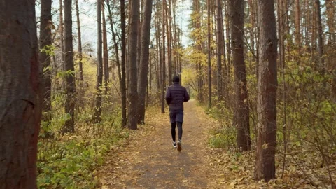Runner on the forest trail on a warm autumn day, rear view. A man regularly runs Stock Footage 163693388