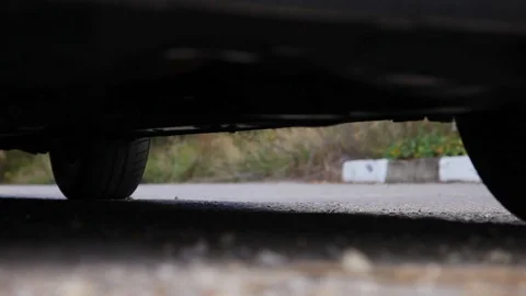 Runner gets out of his car with his dog Stock Footage 89164402