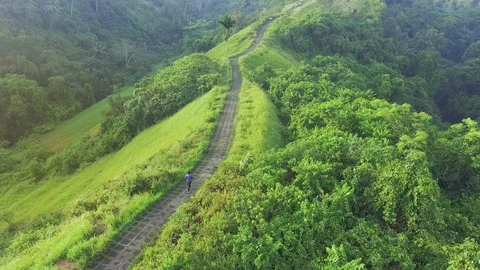 Runner on green hill walking road aerial Ubud Bali Stock Footage 98764508
