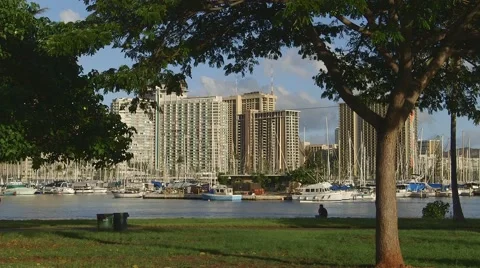 Runner iin Ala Moana Park, Waikiki, Honolulu, Hawaii Stock Footage 56167764