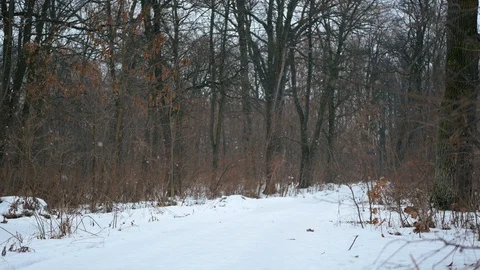Runner man doing cardio. Jogging in winter snowfall. Christmas New Year sports Video stock 107432803