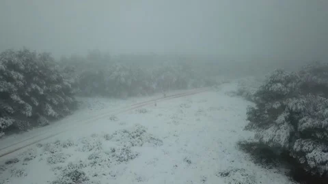 Runner man running at the forest full of snow. Aerial view. Stock Footage 146551093