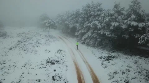 Runner man running at the forest full of snow. Drone shot near the trees. Stock Footage 146551105