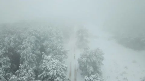 Runner man running at the forest full of snow. Drone shot near the trees. Stock Footage 146551163