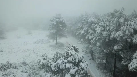 Runner man running at the forest full of snow. Drone shot near the trees. Stock Footage 146551263