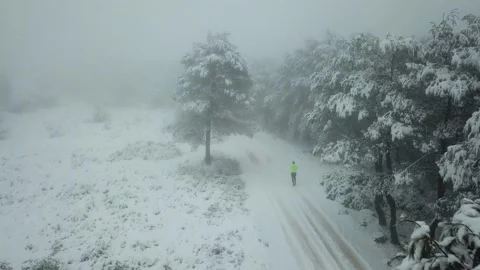 Runner man running at the forest full of snow. Drone shot near the trees. Stock Footage
