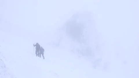 Runner man running at the forest full of snow. Drone shot near the trees. Stock Footage 147370695