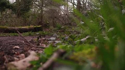 Runner Man Running Outdoors In Park Stock Footage 90157166