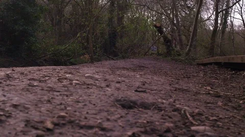 Runner Man Running In Park Exercising Outdoors Fitness Tracking shot Stock Footage 89699573