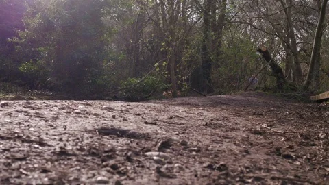 Runner Man Running In Park Exercising Outdoors Fitness Tracking shot sequence Video stock 89717201
