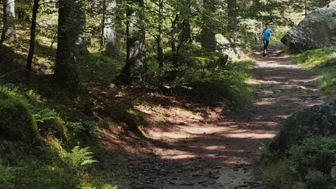 Runner on a mountain trail Stock-Footage 114173368