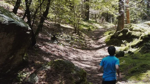 Runner on a mountain trail Stock-Footage 114173592