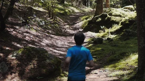 Runner on a mountain trail Stock Footage 114173739