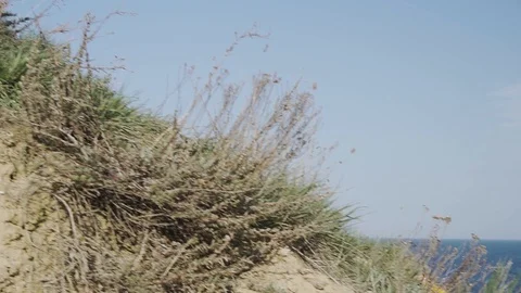 Runner in the mountains Stock Footage 105404087