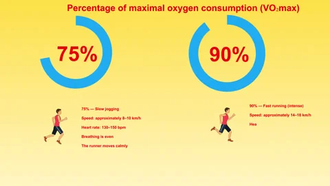 Runner Oxygen Stock Footage 323449164