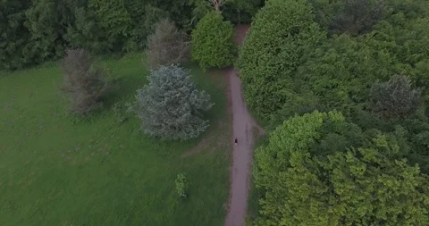 Runner in park 4k Stock Footage 89029766