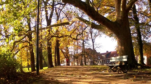 Runner in the park Brugge. Stock Footage 35193401
